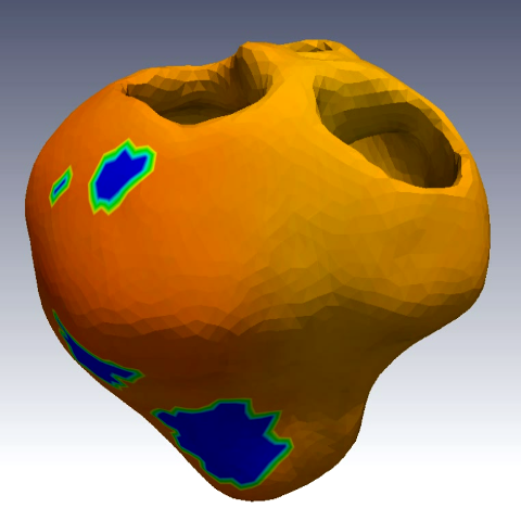 Coupled Electro-Mechanical Model of the Heart